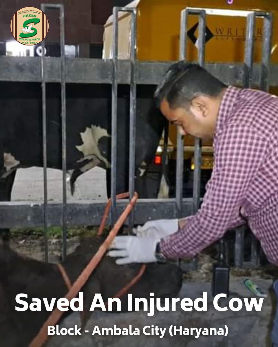 Salute to the compassionate Shah Satnam Ji Green 'S' Welfare Force Wing volunteer in Ambala City, Haryana, for their noble act of saving an injured cow and providing crucial medical treatment. Let's continue to support and rescue animals in need. #AnimalWelfare #MedicalTreatment…