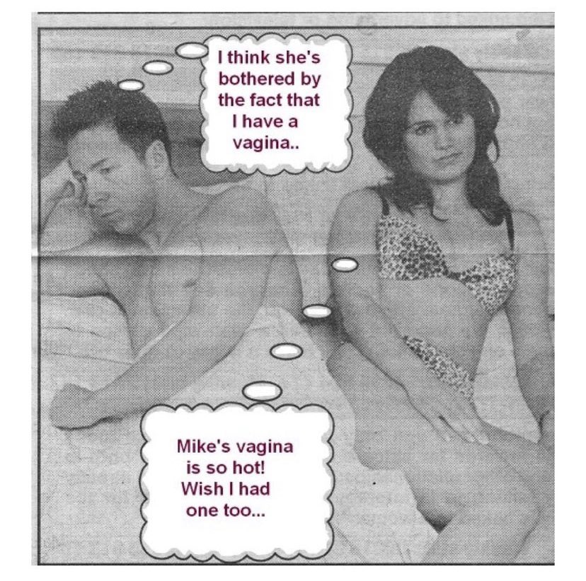 softpaws⋆🐾°ᶻ 𝗓 𐰁 tweet media