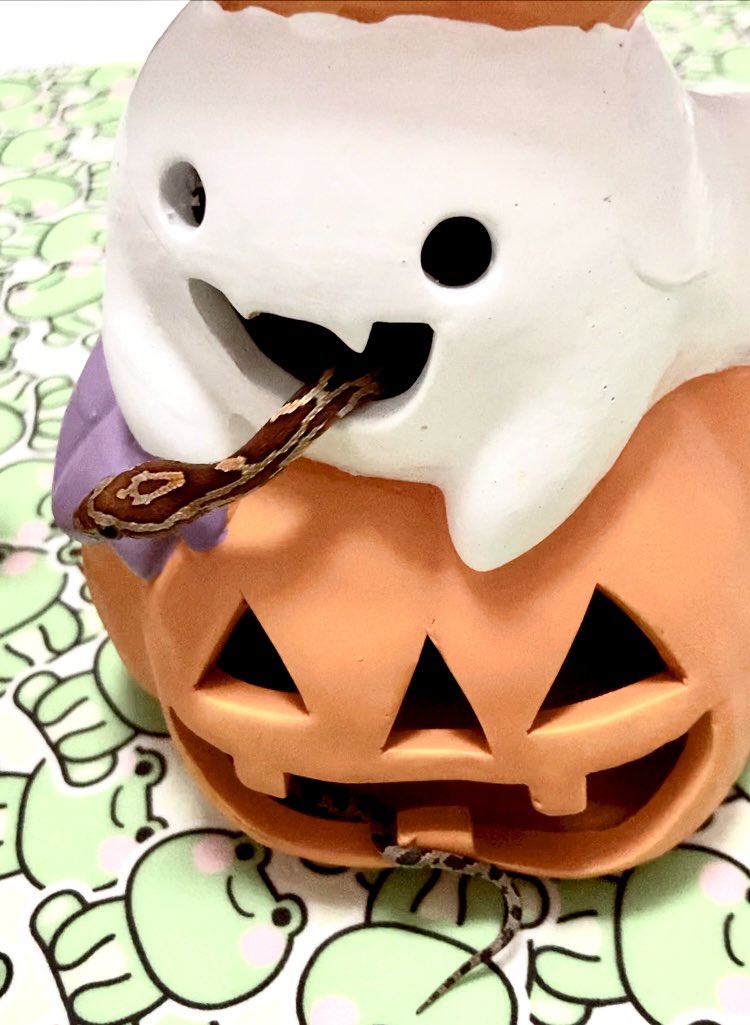 萬聖節開始了！👻