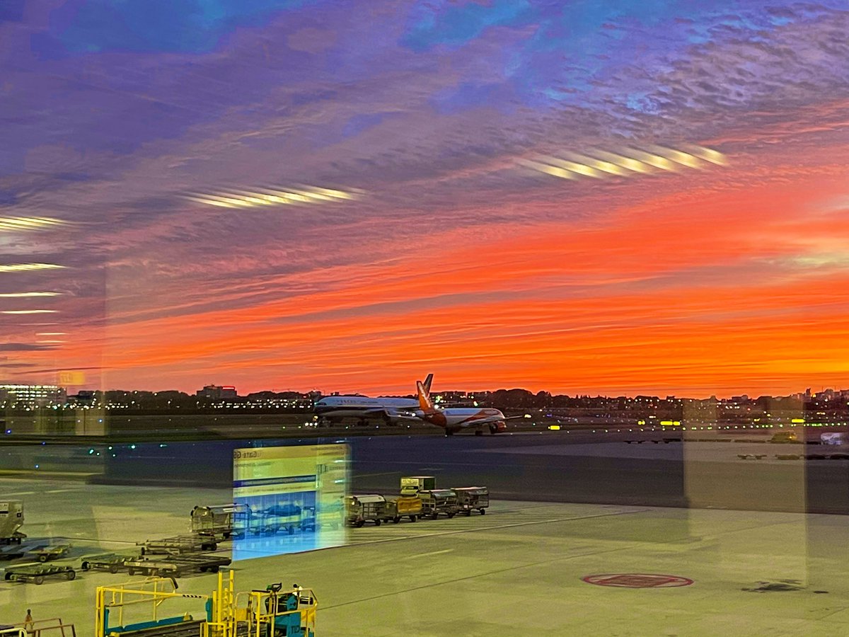 MariamAboian's tweet photo. @UMCUtrecht @EANOassociation @NANETS1 @theASFNR @MICCAI_Society …is this for real? sky lit up all orange in #Amsterdam 😍 Grateful for these amazing adventures in #academics!  #schiphol #gloriousmorning #coffee  #awesomesoundtrack Louane’ “a quoi tu penses vraiment” https://t.co/mWwJaoN9l1
