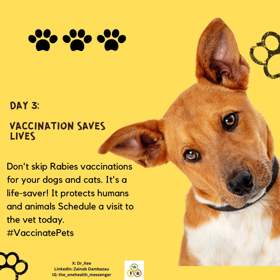Dr_Xee's tweet photo. Join the Rabies Awareness Week!
Many are unaware of the dangers posed by rabies.
Let's spread knowledge and protect our community.
#RabiesAwarenessWeek #theonehealthmessenger
#OneHealth
#Nigeria https://t.co/OhsMMT98a9