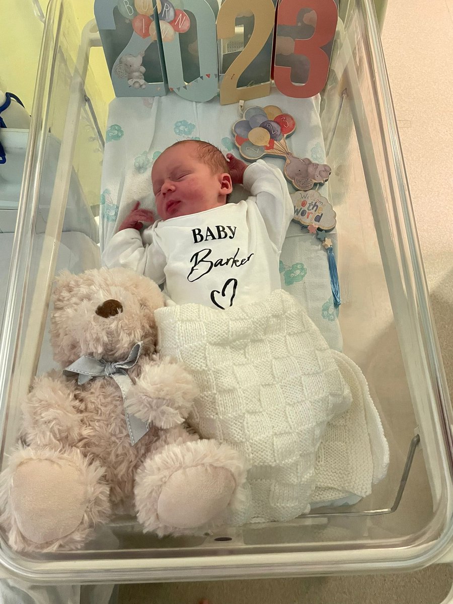 OfficialNUSA's tweet photo. Morning everyone from #BabyBarker 🥰 Let’s have the best week at #AmazingNUSA! #MoreGrit #MorePurpose #MoreIntegrity https://t.co/QYNc6W5ejH