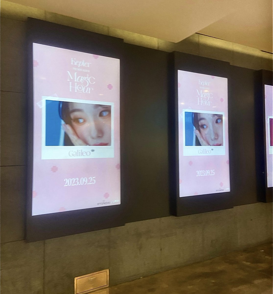 lovisa tweet media