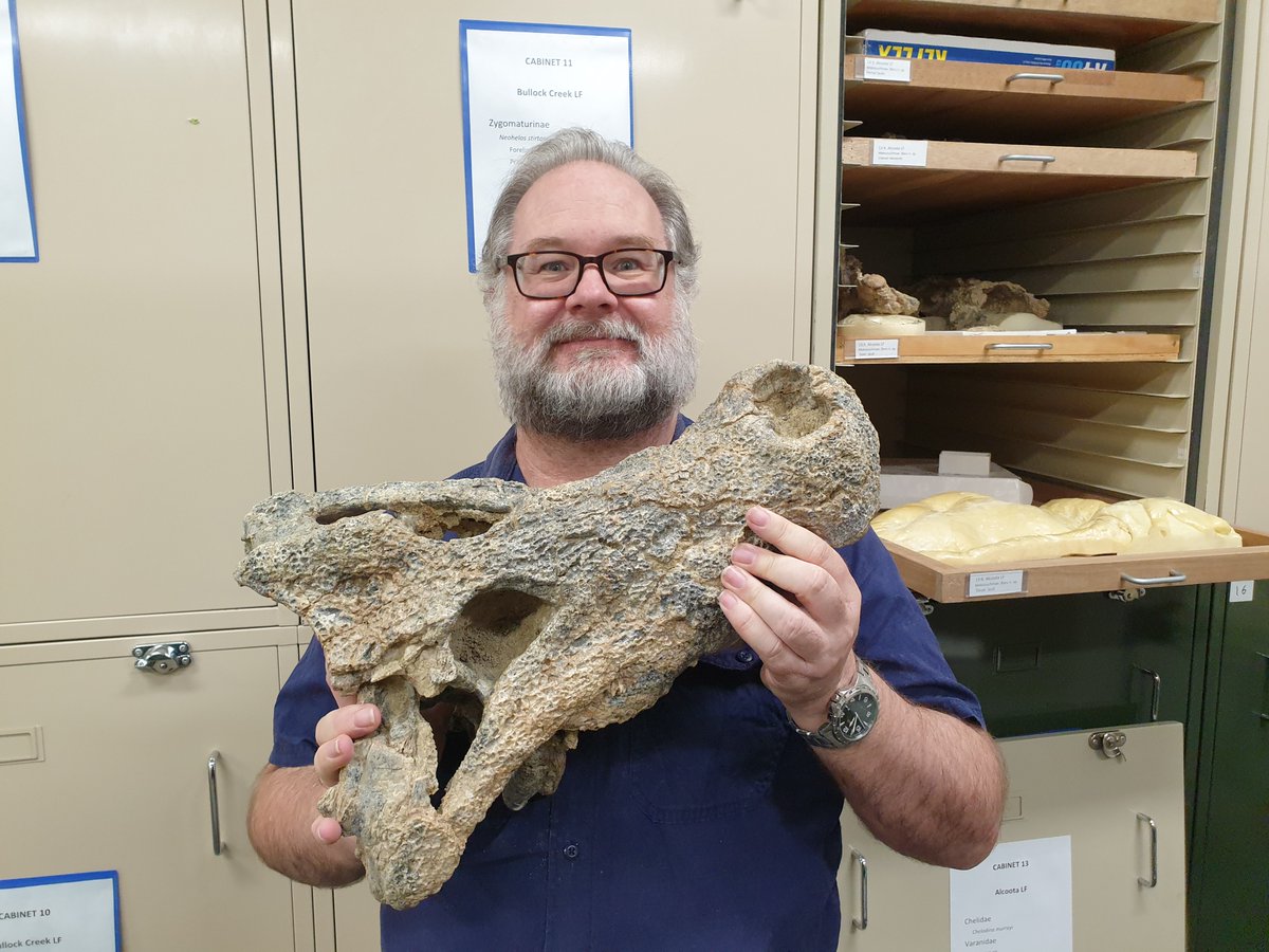 Unveiling the 'skilled hunter' of Central Australia's past Meet Baru iylwenpeny, named by Dr Adam Yates and colleagues from The University of Queensland, this remarkable creature is finally getting its due recognition in a recently published paper. doi.org/10.1002/spp2.1…