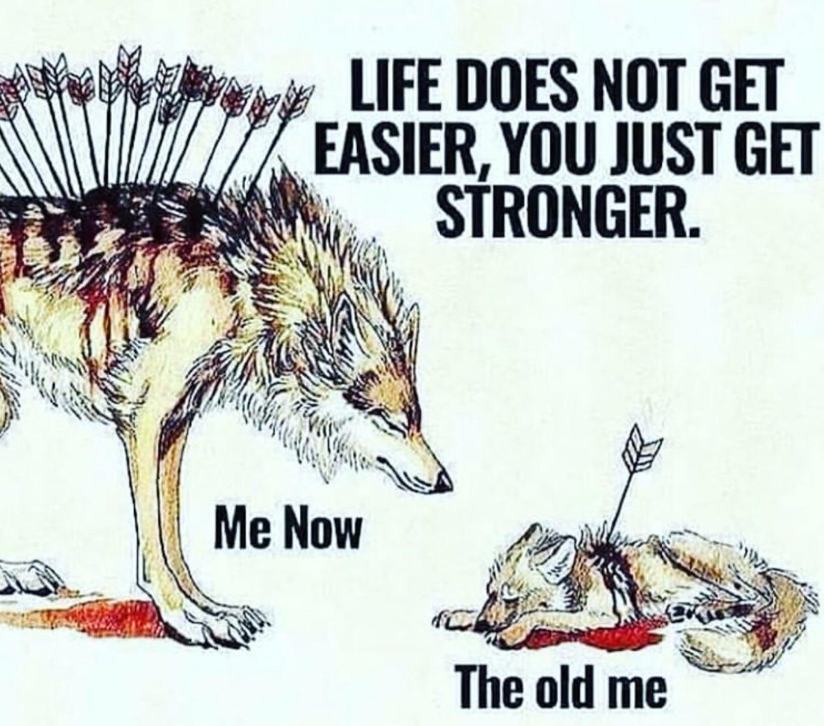 BeAuthenticAcad's tweet photo. Scars 💪 https://t.co/vUfwC7xIRb
