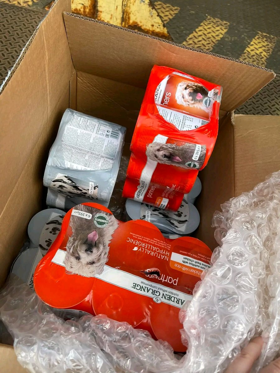 Tailscareua's tweet photo. Today we want to thank 
our dear Rebecca Renmant-Oliver for helping the homeless animals of Kharkiv🇺🇦❤️🐾
Thank you for the delicious pastes, food, dishes,
treats for dogs and cats🐕🐈 
Look how happy they are🥹🤗☺️~ ~It's all thanks to you

Let's save lives together🫶 https://t.co/U4qnmXIgel