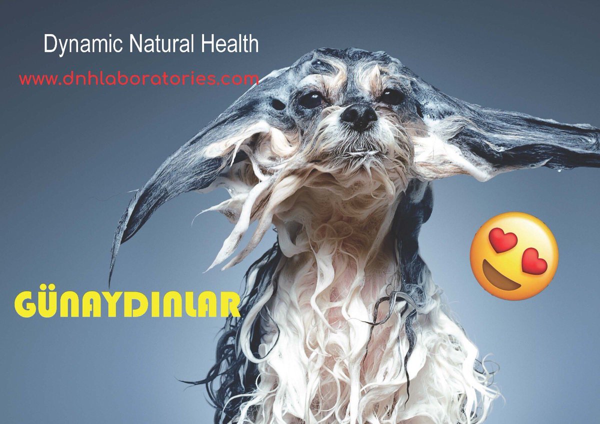 DnhSystem's tweet image. 