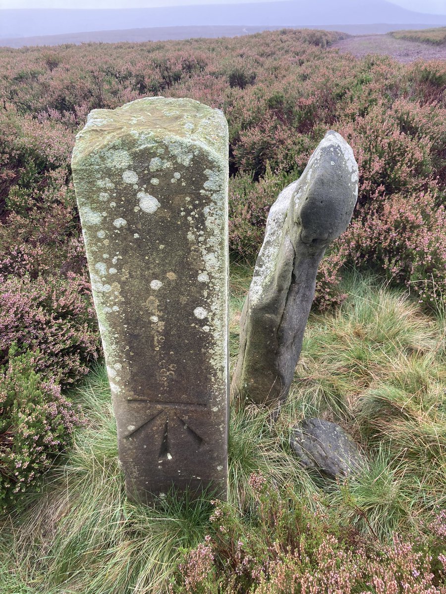 Faber’s Stone, North York Moors. 🖤#BenchmarkMonday