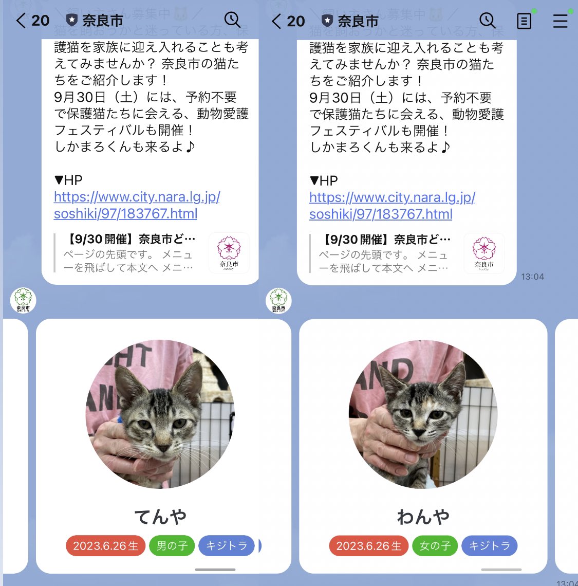 c_chan1110's tweet image. 犬派の私を揺らがす、奈良市役所の公式LINE。たまに送られてくる保護猫譲渡会のお知らせがかなり良く、うちは飼えないが、この通知をとても楽しみにしている。例えば、まず猫達のネーミングセンスが良い（画像1）。そして前のお知らせ一覧にいた猫がいなくなっていると「いい家族みつかったかな」と想…