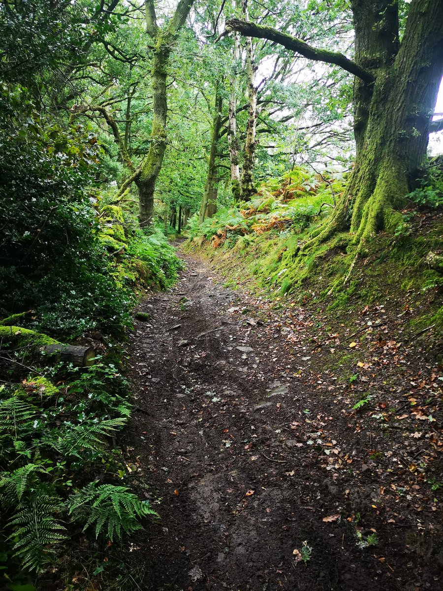 Trail Advantage - MTB Coaching and Guiding tweet media