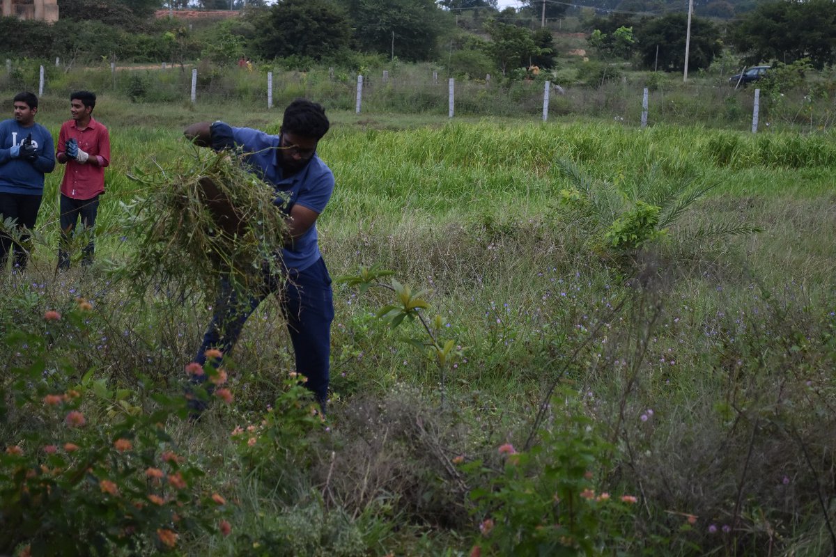 WCGIndia's tweet photo. Deweeding and cleaning work done by Students of Dayananda Sagar Academy of technology and management at vadeyana kere lake near Bannerugatta. This program organised under "E Kere Nammadu Project" of WCG.
#DSATM
@WCGIndia https://t.co/kdMyaNNo9U
