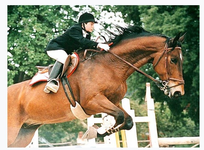 Tranquillo piccolo...non verrà su da te questo animale! Corri felice con il tuo cavallo in Paradiso! ❤ #GiuseppeDiMatteo 🌺 #MattiaMessinaDenaro 🤬