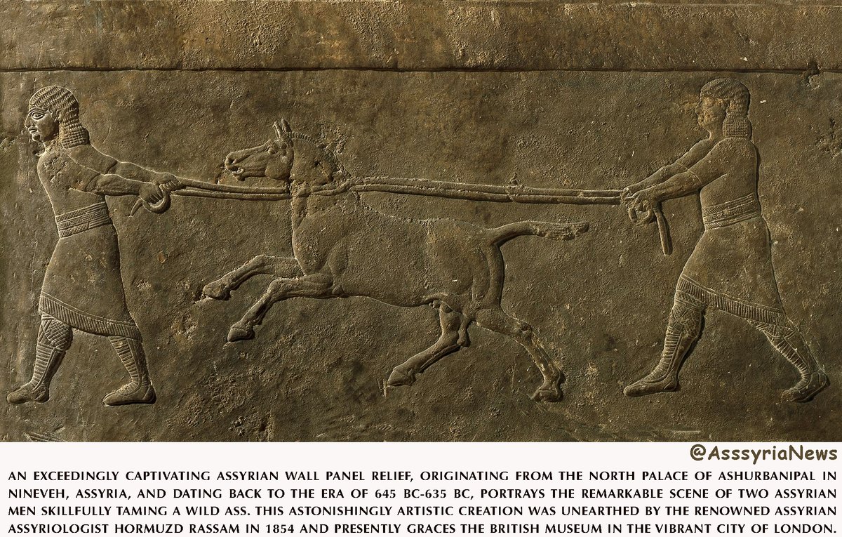 TodayAssyria's tweet photo. #ashurbanipal #ass #wildass #tamming #assyriologist #hormuzdrassam #assyriansoldier #assyrian #assyria #assyrianheritage #ashur #assur #nineveh #mesopotamia #archaeology #history #ancienthistory #art #assyrianrelief #kalhu #britishmuseum #cradleofcivilization https://t.co/kTizSs93JL