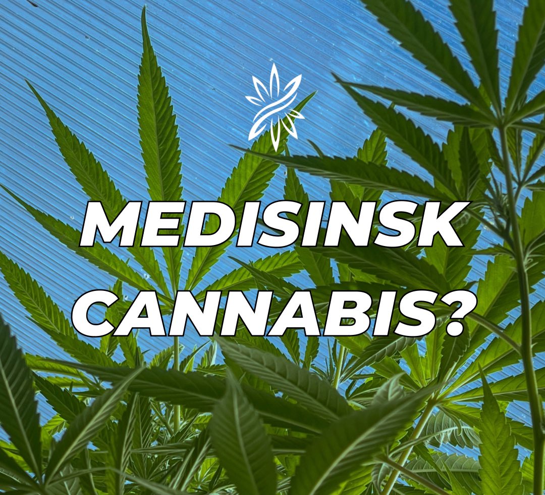 twinleafgroup's tweet photo. Ønsker du å utforske muligheten for medisinsk cannabisbehandling? Besøk TwinLeaf på https://t.co/gjKK9FqUG5 og begynn reisen mot bedre helse i dag! 🌿 #MedisinskCannabis #TwinLeaf #BedreHelse https://t.co/zurIVo3kL6