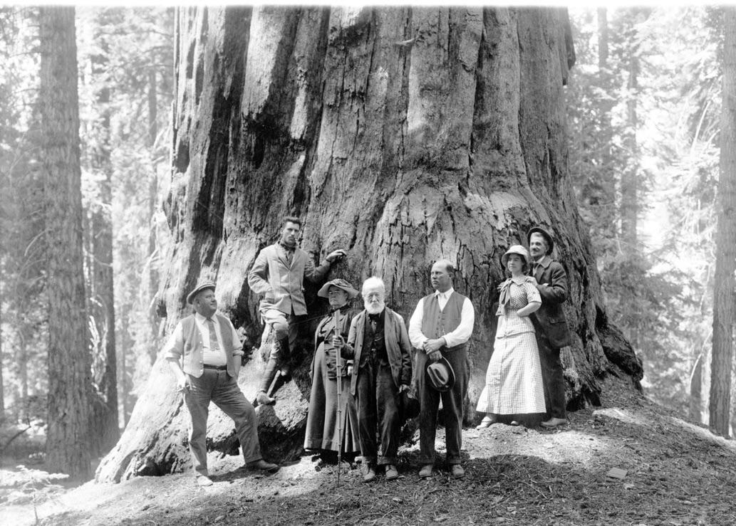 mariobianchi18's tweet photo. Il #25settembre 1890 istituito il #SequoiaPark, secondo parco nazionale degli USA dopo Yellowstone. Superficie di 1.635 km² ed ha come attrazione principale la presenza della sequoia gigante, il #GeneraleSherman, l'albero più grande (83 m.) e longevo (2300-2700 anni) della Terra. https://t.co/QqJUzsoI2S
