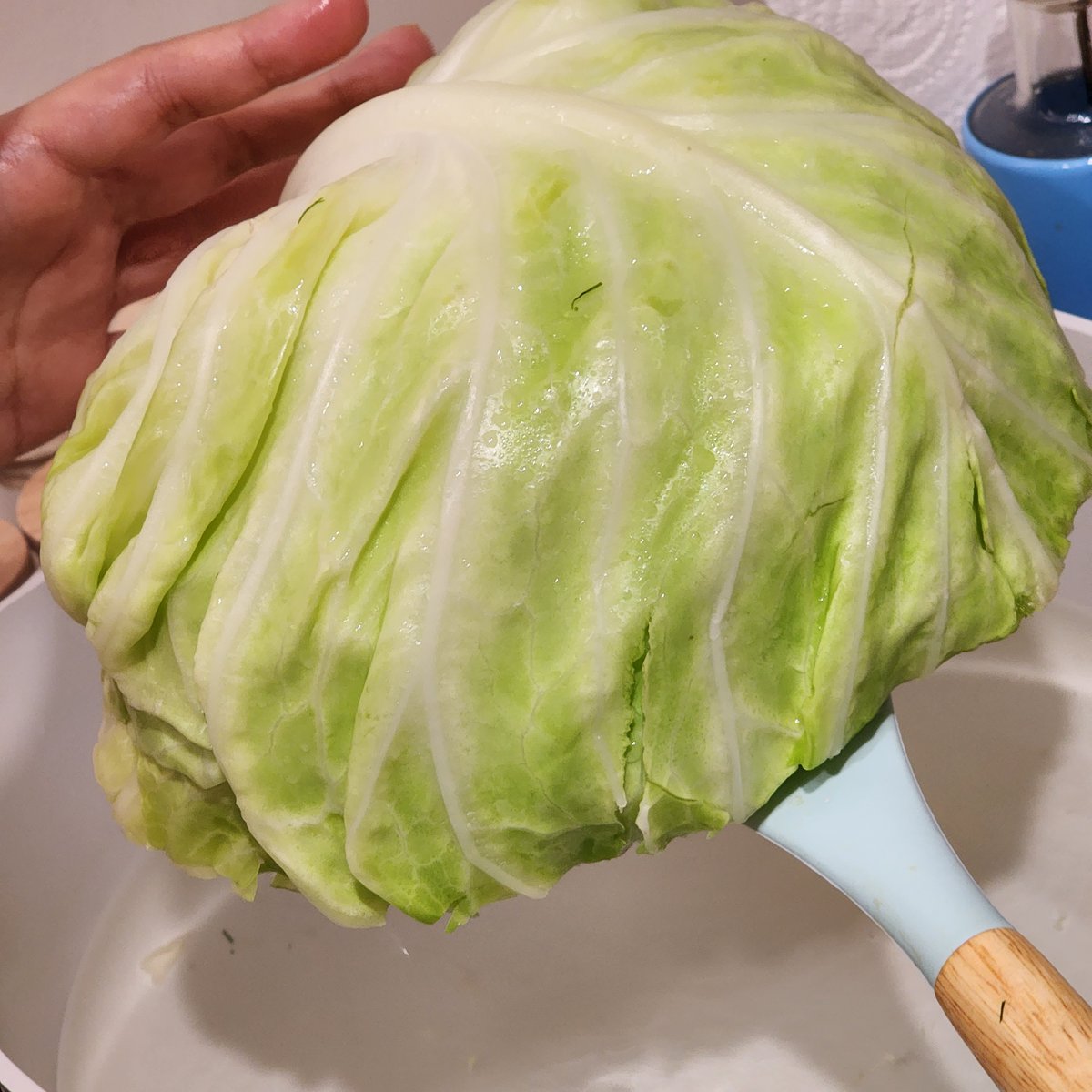 FriendlyCooks's tweet image. 🍙🐻- Pocket Rice - 🇷🇺 - Community Recipes - ❤️ Was such a fun stream today and a great start to this weeks cooking. See you all again tomorrow 👩‍🍳