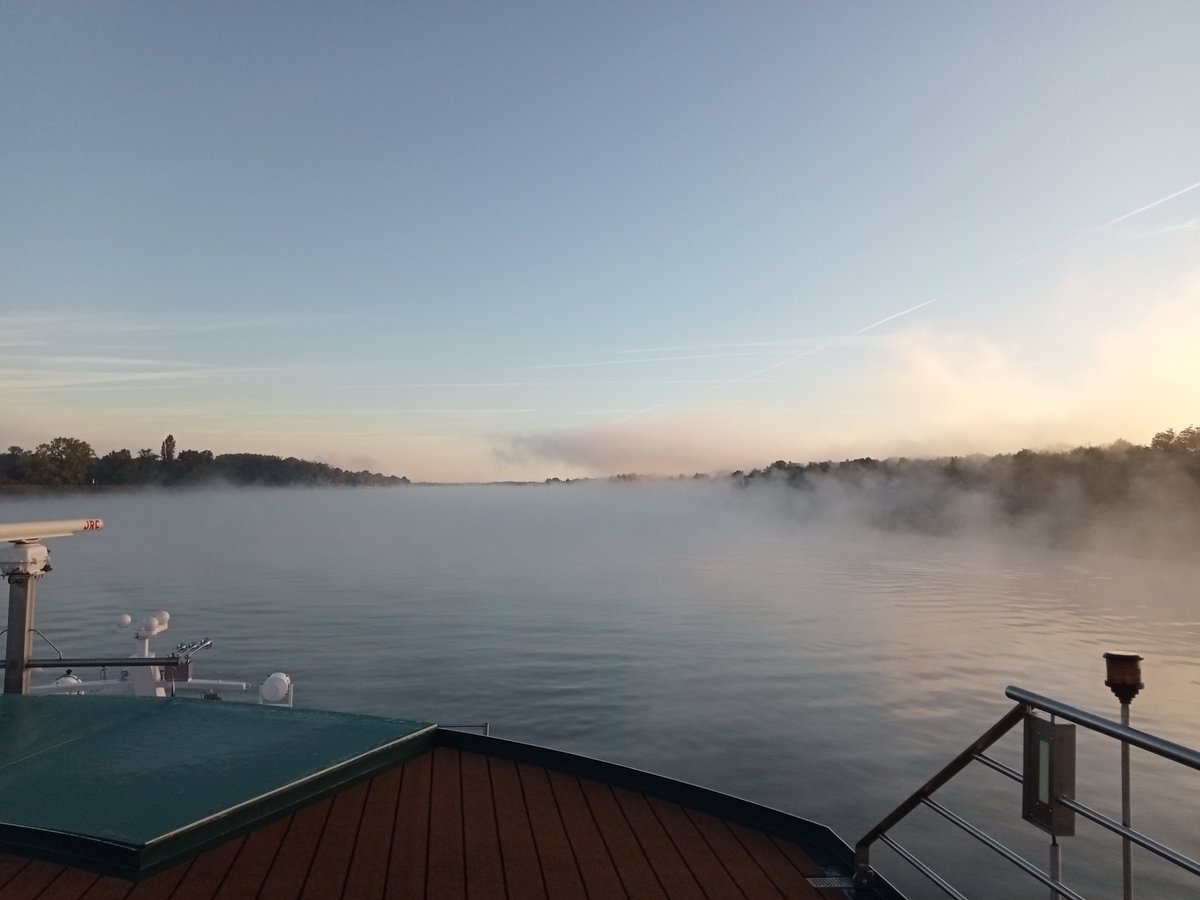 SonningBear's tweet photo. Good morning from the River Rhine!

It's bright but misty and Polar has been out on the upper deck taking photos. https://t.co/QeRW9dX2fD