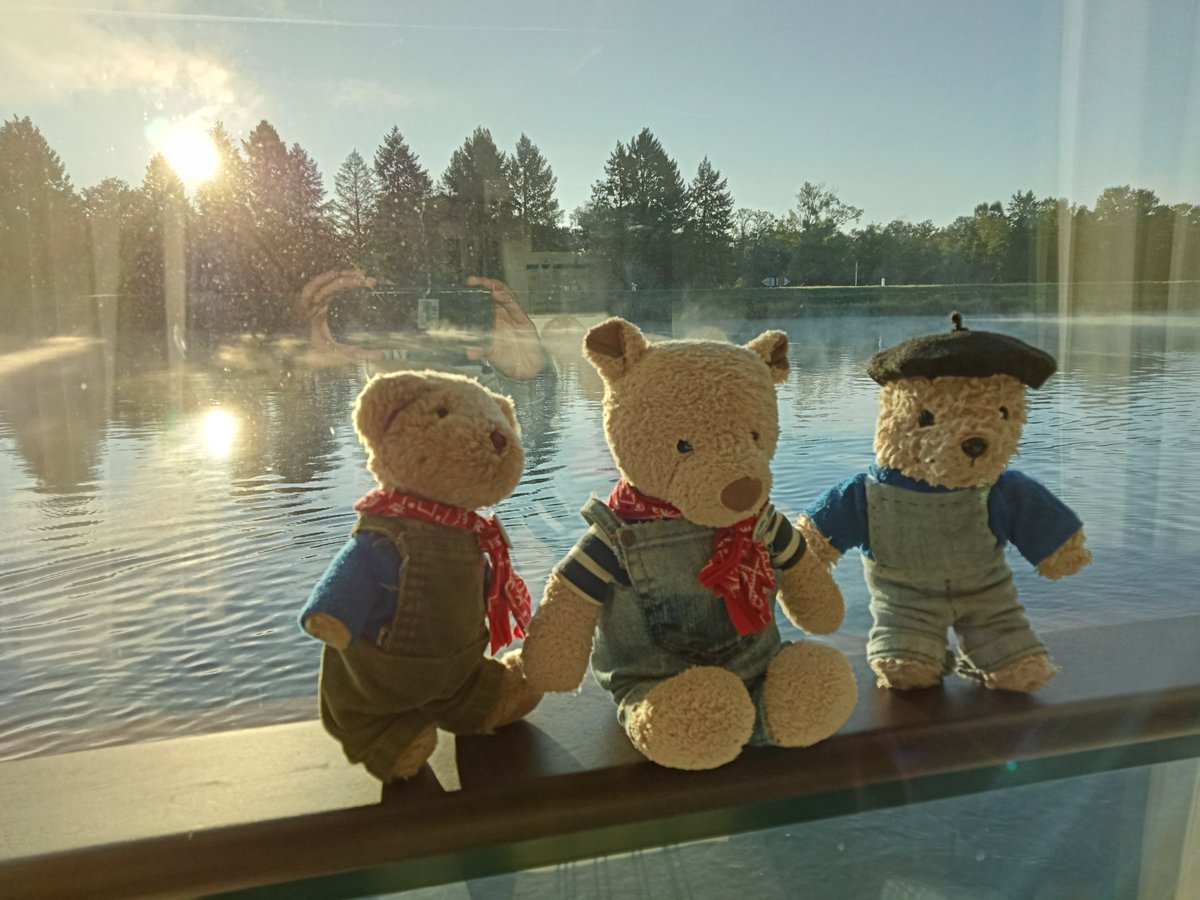 SonningBear's tweet photo. Good morning from the River Rhine!

It's bright but misty and Polar has been out on the upper deck taking photos. https://t.co/QeRW9dX2fD