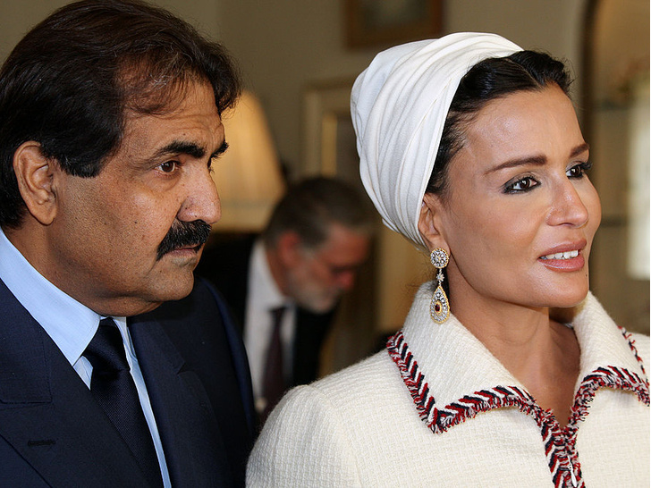 Ayollar mushuklariga turli xil narsalarni yopishtiradilar