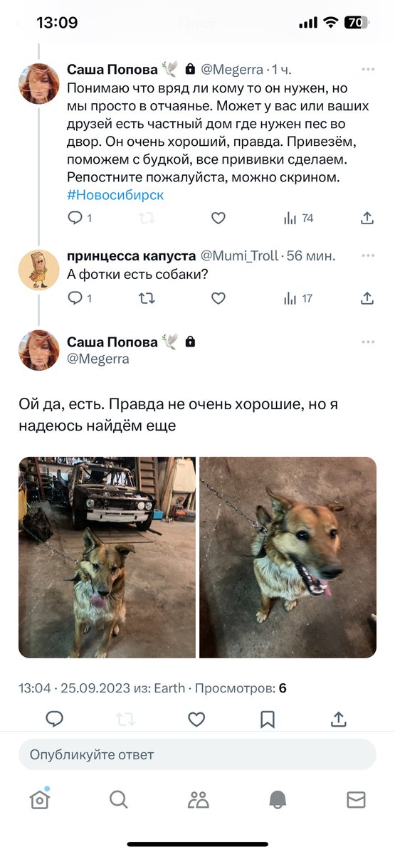 Mumi_Troll's tweet photo. НОВОСИБИРСК! 
Хорошему мальчику нужен дом!
@Megerra 
За ретвит плюсик в карму 🫶 https://t.co/NCPc0LBHHf