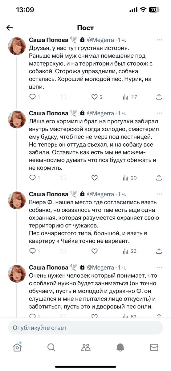 Mumi_Troll's tweet photo. НОВОСИБИРСК! 
Хорошему мальчику нужен дом!
@Megerra 
За ретвит плюсик в карму 🫶 https://t.co/NCPc0LBHHf