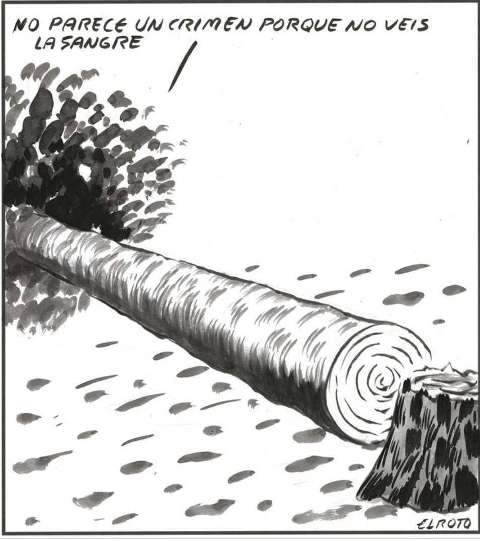 ElRoto_ElPais's tweet photo. https://t.co/U7V8s9MPZg