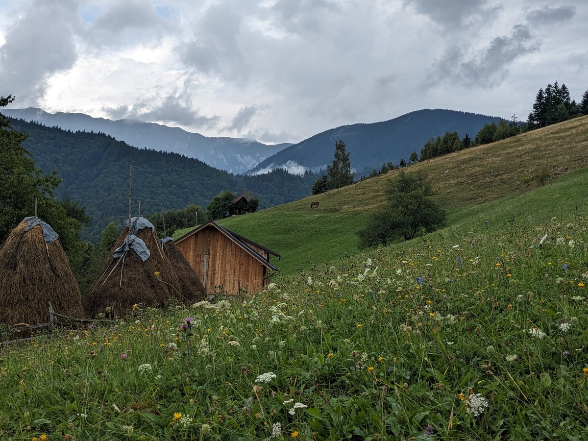 Foyer_mag's tweet photo. Open for pitches! FOYER magazine is looking for pitches on the theme of Nature &amp; Culture, memoir, fiction, research, sketches, visual art etc. Find out more in our information pack https://t.co/Gwev0Ku1oE #journoresources https://t.co/bpPigj5L3y
