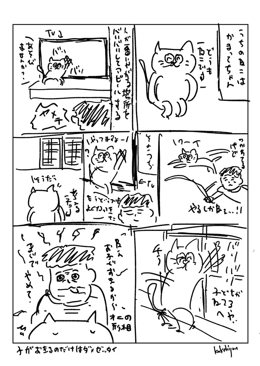 最近のねこ 