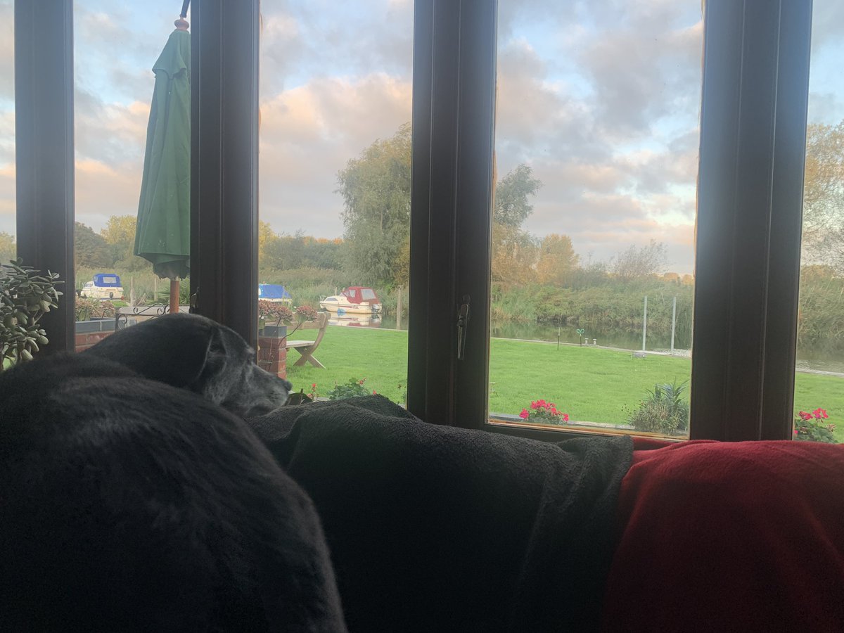 MerlinnotDesmo's tweet image. Quite like the view from this window seat   Not much going on outside at the moment though. 

Good Morning everyone 😊