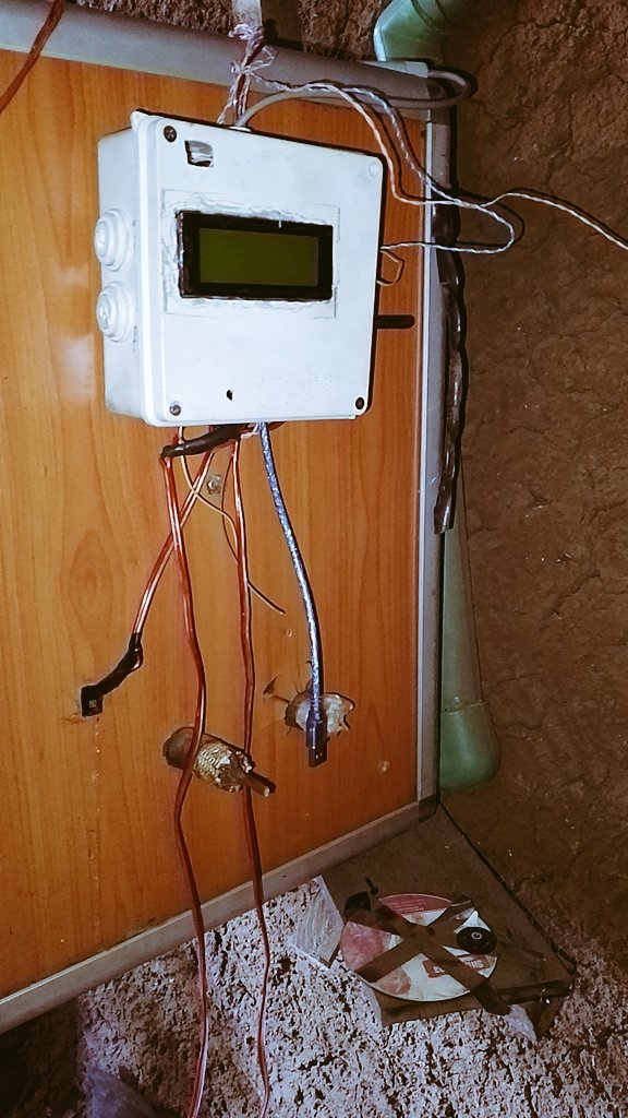 Victor Kipkorir tweet media