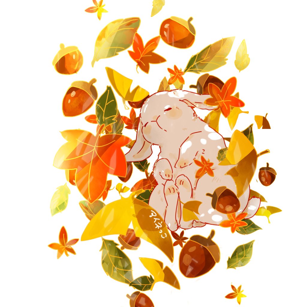 ainono1122's tweet photo. 🍁🍂秋だね🍁 https://t.co/ffdmJ1mEzF