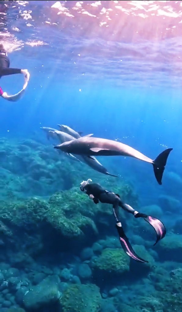 Linda.🅔🅣🅗🇻🇳 tweet media