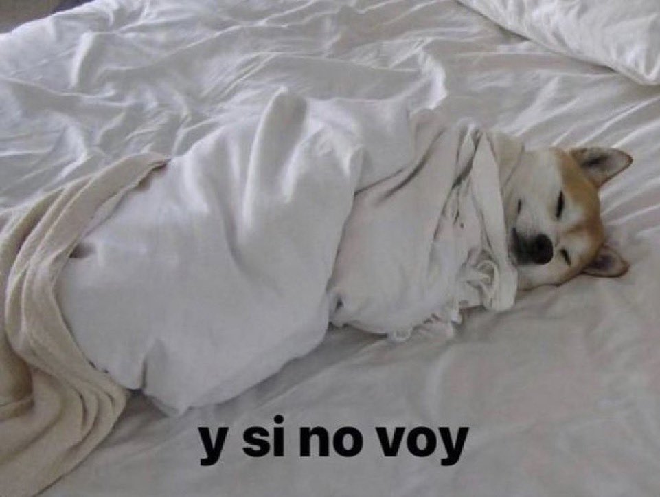ftcarpe's tweet photo. buenos días soy este https://t.co/5rRcbOBPiB