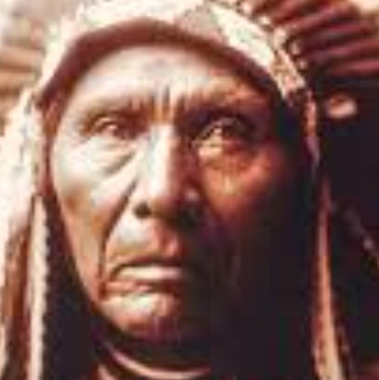 FideuetF's tweet photo. Només quan el darrer arbre sigui mort, el darrer riu emmetzinat i el darrer búfal caçat, l'home se n'adonarà que el diners no es mengen.

Chief Seattle

#aforismes #Seattle
#ff_seattle #ff_diners https://t.co/qoCOqTer6d