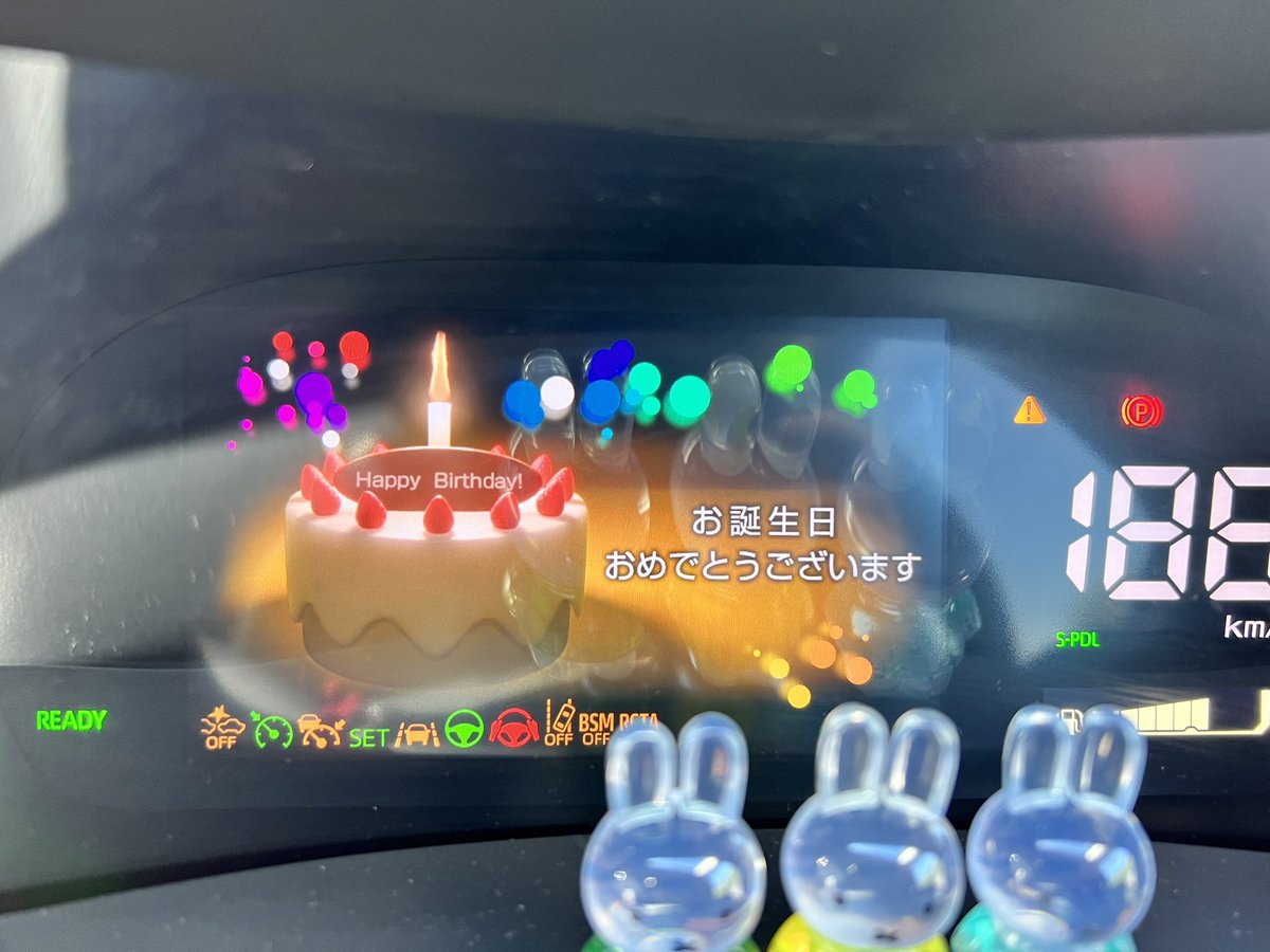 今年もしっかりお祝いしてもらいました🧚‍♀️