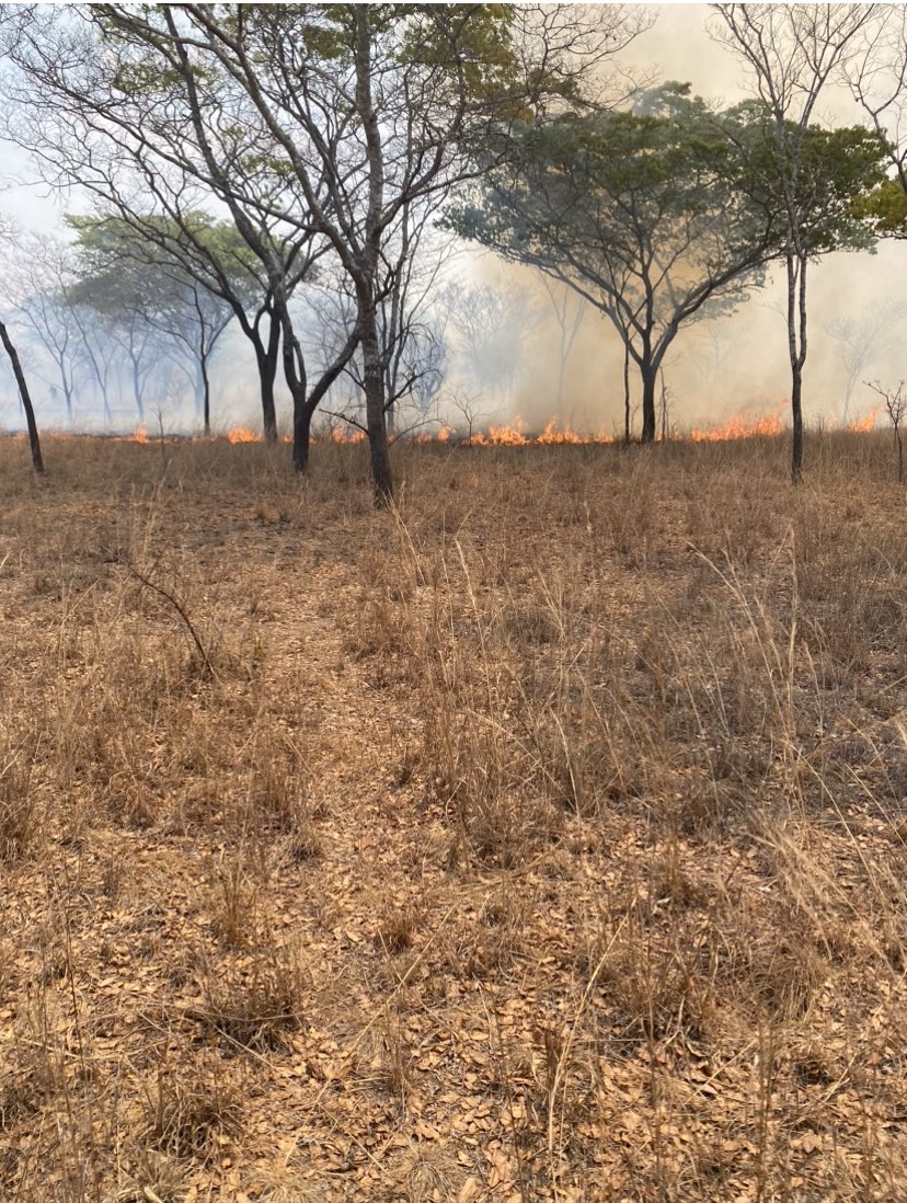 Klipranch tweet media