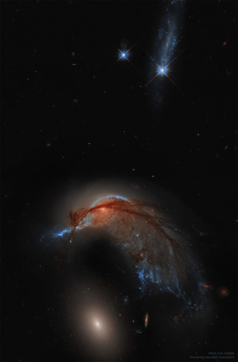 EricLagadec's tweet photo. Admirez deux galaxies en interaction, NGC 2936 et 2937 à  plus de 300 millions d'années-lumière. Leur forme leur a donné le surnom de galaxies du Marsouin, ou encore du Pinguoin et de l'oeuf. Vous validez?

©NASA, ESA, Hubble, HLA, Basudeb Chakrabarti https://t.co/4xGBoxCoB2
