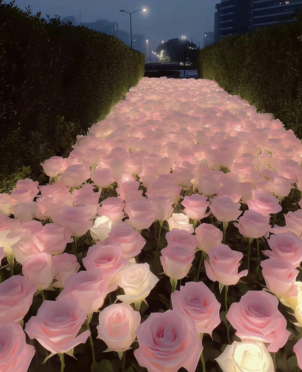 SheIsMesMerize's tweet image. Beautiful 🥂