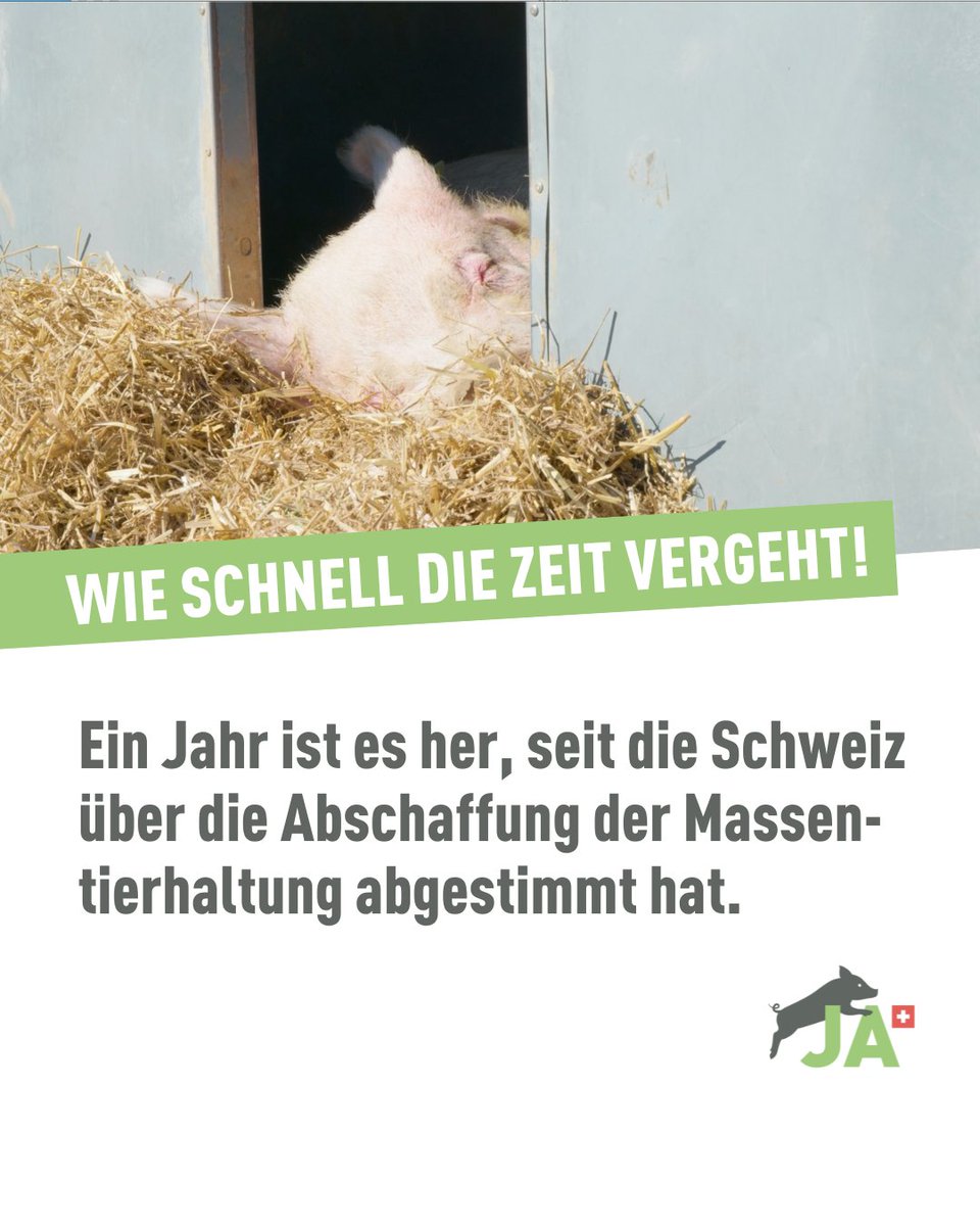 Initiative gegen Massentierhaltung tweet media