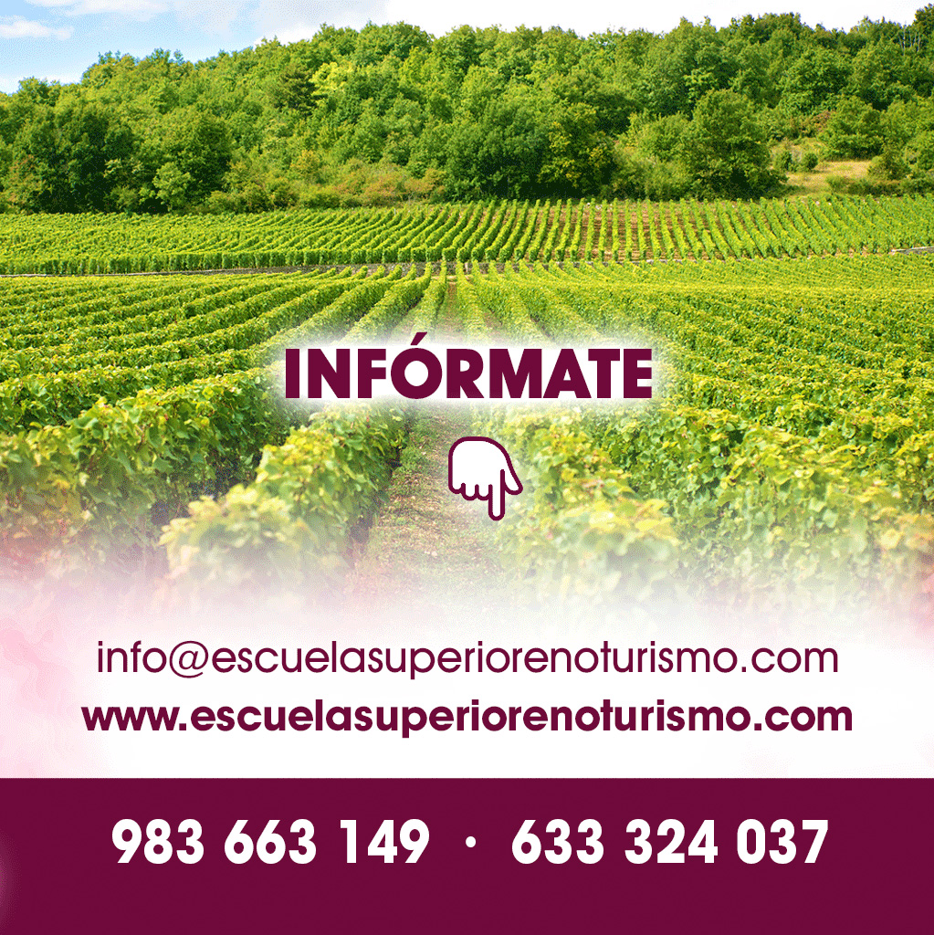 Escuela de Enoturismo de Castilla y León tweet media