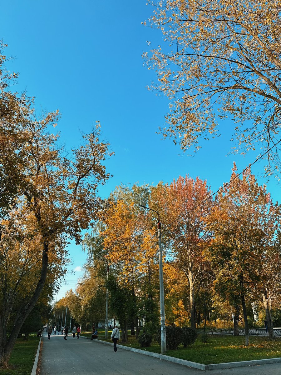 Good morning, fam!

Autumn is very pleasing this year. I don’t remember that autumn was so warm in other years.

I enjoy every day 🍁☀️