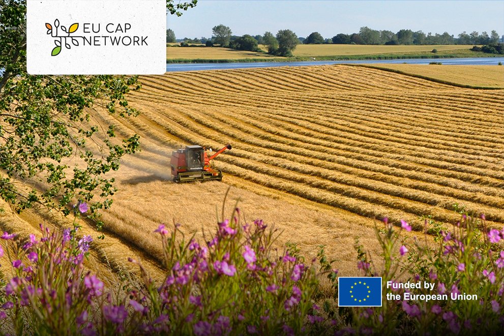 eucapnetwork's tweet photo. The 1st Meeting of the Thematic Group on #CSPImplementation: #MonitoringCommittees is about to start.
🚜Today's discussion will focus on exchanging experiences and identifying good practices on different aspects of Monitoring Committee's operations.
🌱 https://t.co/uxFHwwXk3b https://t.co/6sRGKsJvbQ