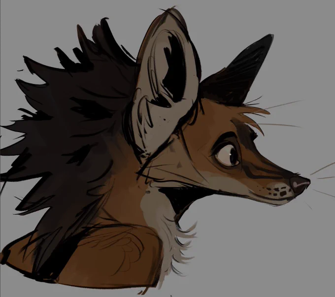Maned wolf 