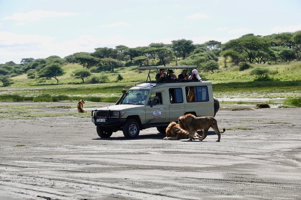 sgreatmigration's tweet photo. Unforgettable experience with @sgreatmigration, Welcome To Tanzania.

#safari #Tanzania #greatmigrationsafaris https://t.co/yxArB5LTDa