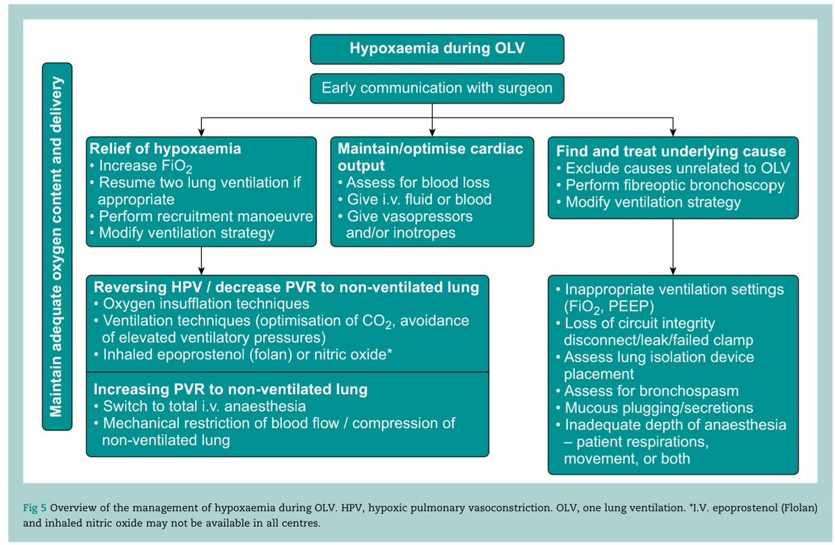 Physiology , Physics  and Management to think about in hypoxaemia during one lung ventilation

#anaesthesia 
#anesthesia 
#intensivecare 
#physiology 
#physics 
#pharmacology

Picture Source : Excerpts of September 2023 BJAED 

bjaed.org/article/S2058-…

doi.org/10.1016/j.bjae…