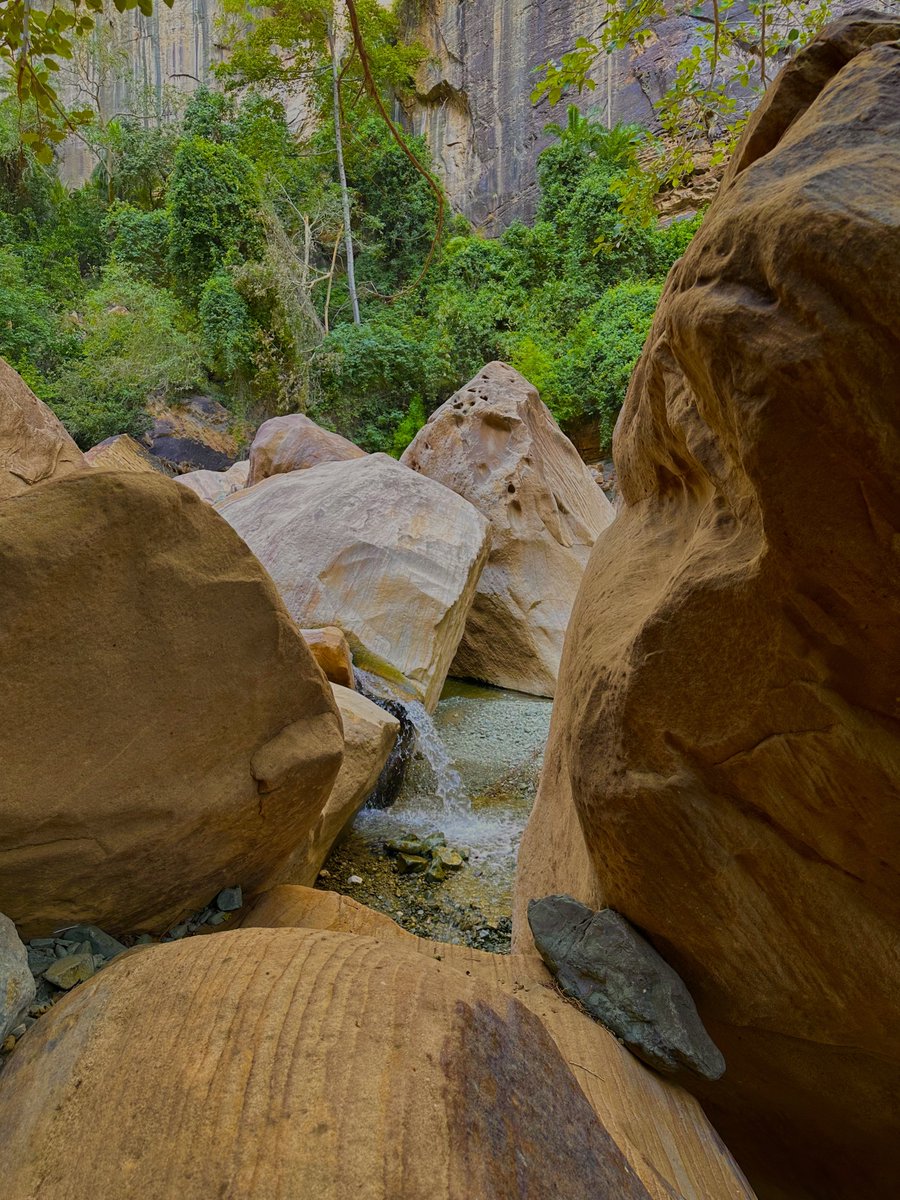 رحلتنا لوادي لجب 🤍