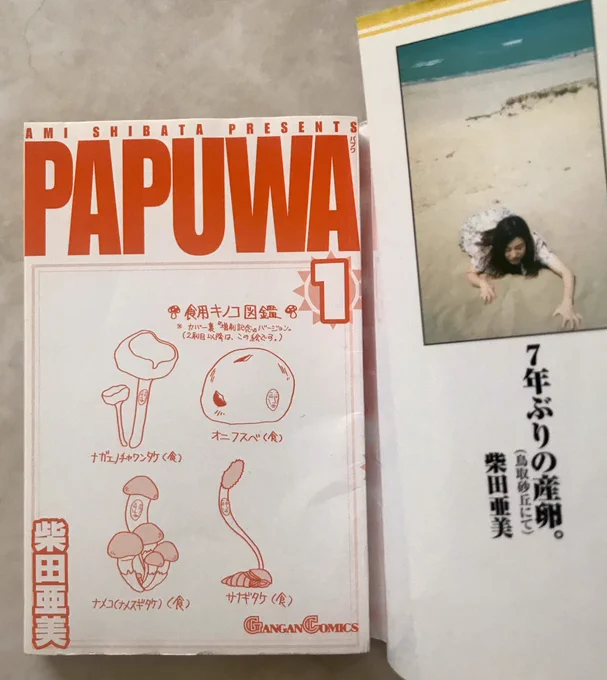 昨日食料とお酒買い込んだのでしばらく家から出ずに絵画制作できると思ったら、舞茸買うのド忘れしてたわ。

ワタシ1日1パック舞茸食べるのよ。

めんどくさいが化粧して買い行くわ。

画像はPAPUWA1巻2刷目以降のカバー下キノコ図鑑🍄 

紙の本はもう売ってないんで載せとく。 柴田亜美 