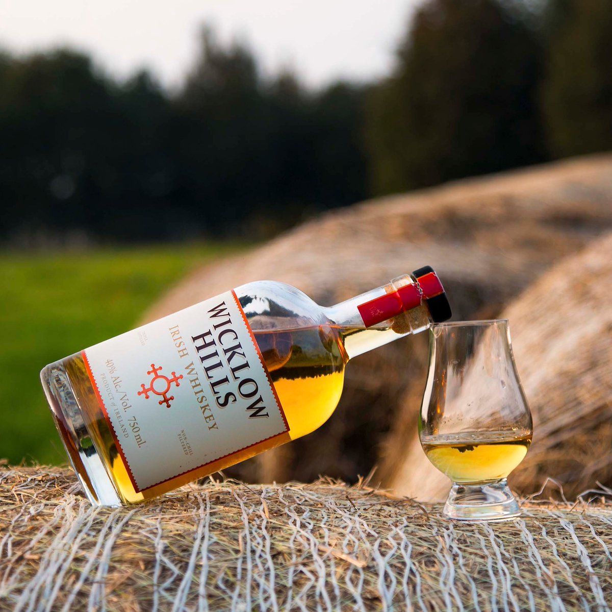 When tasting whiskey, use a clean glass for each drink, have a small jug of water to use when diluting the spirit slightly, and drink more water between each tasting to cleanse the palate. It's a good idea to keep notes as you go.