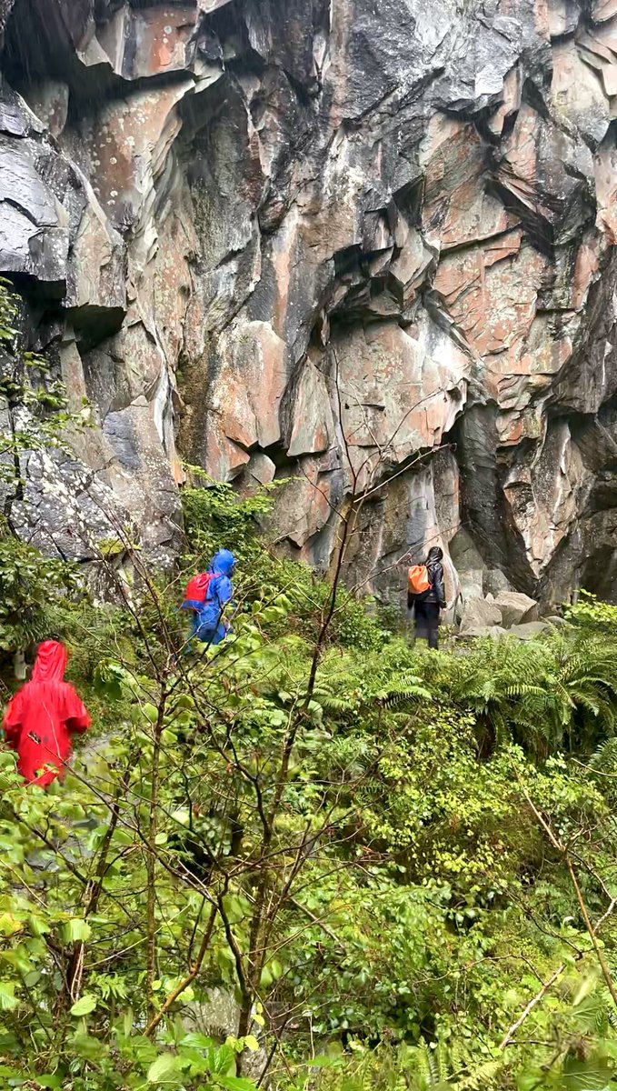 Georgia Harris tweet media