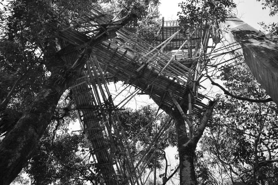 #mawlynnong #livingrootbridge #naturelovers #vernaculararchitecture #naturalengineers #riwai

letsgoamiga.blogspot.com/2014/10/for-wa…